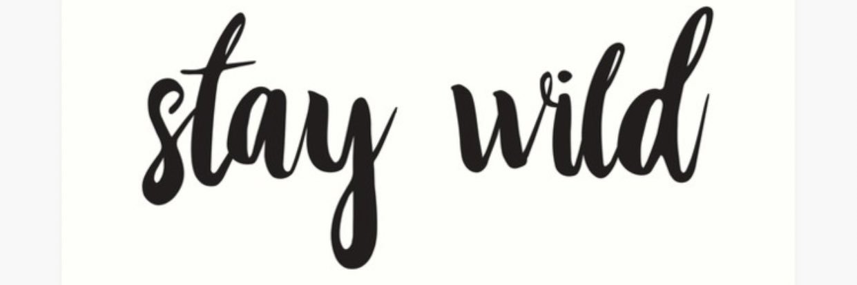 Codie_Babyy's profile banner image