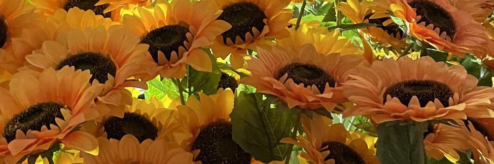 jostickley's profile banner image