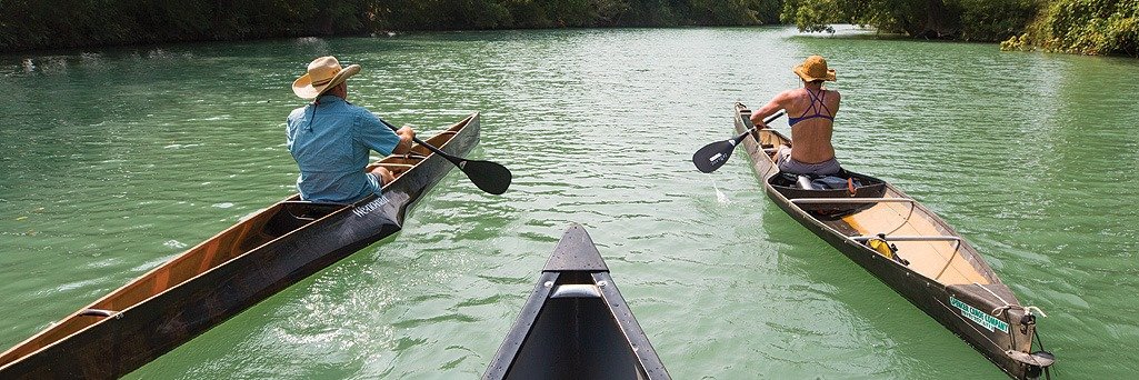 Texas Co-op Power banner