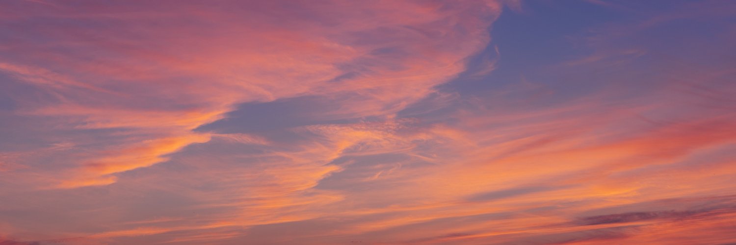 lu_scarano's profile banner image