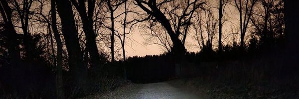 adamhendel Profile Banner