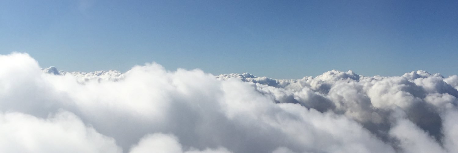 Rachel Holland banner