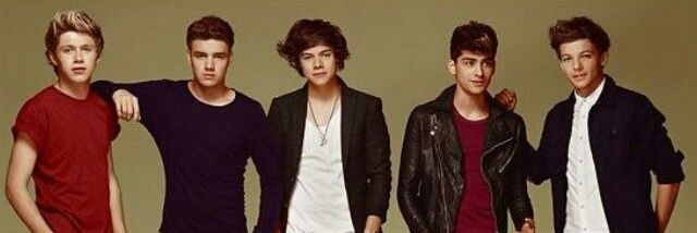 1dandLMvote's profile banner image