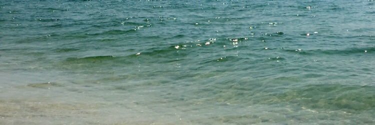 MisssMoore22's profile banner image