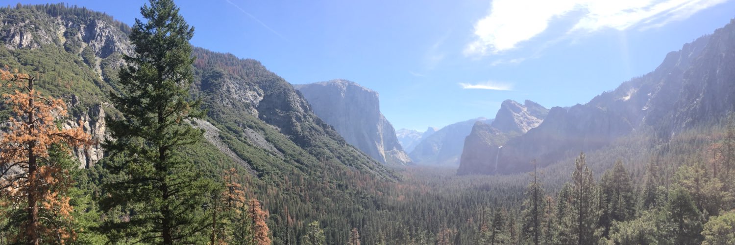 SarahMHines's profile banner image