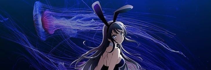 SakutaXbox's profile banner image