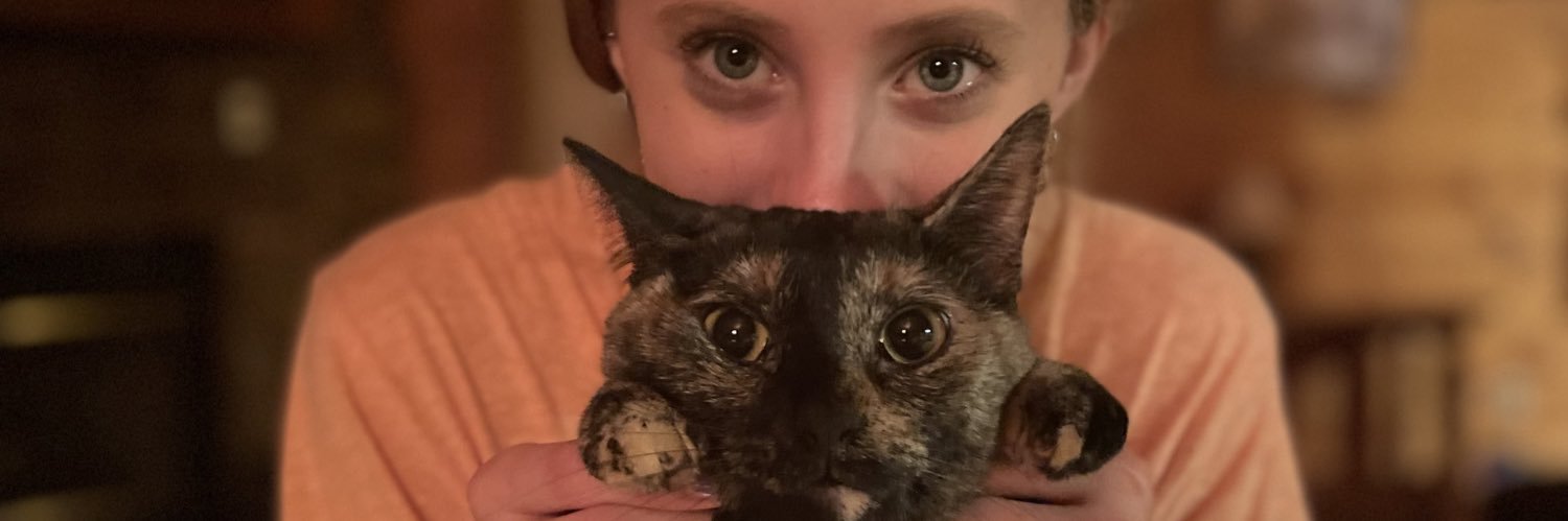 tobycat120's profile banner image
