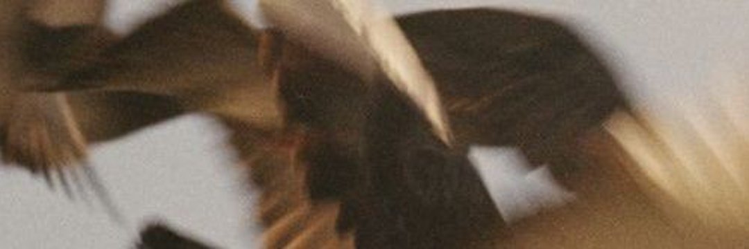 Cale banner