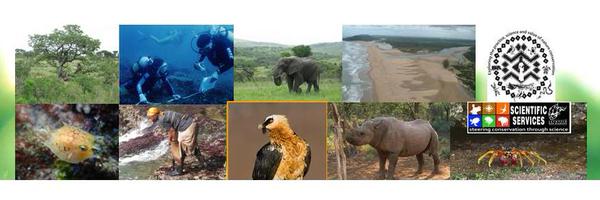 EzemveloScience Profile Banner