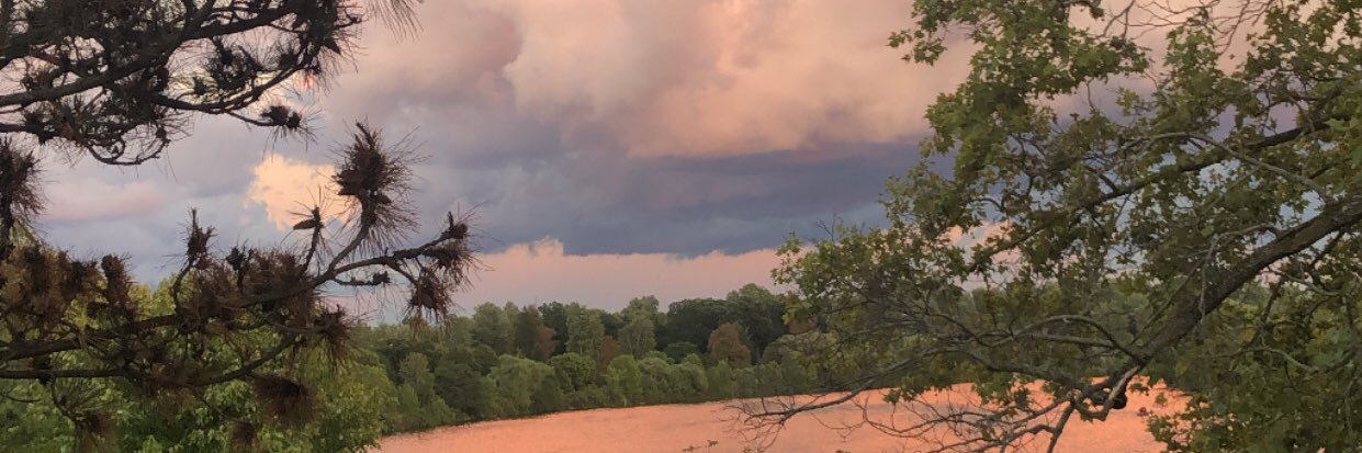 jordynphillips's profile banner image