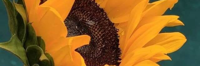IsaCris1030's profile banner image