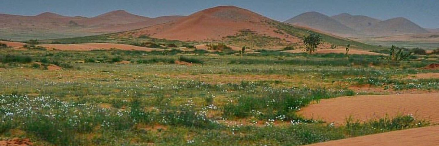 ناصر البدراني banner