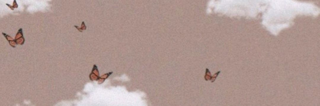 ferhcarvalhoo's profile banner image