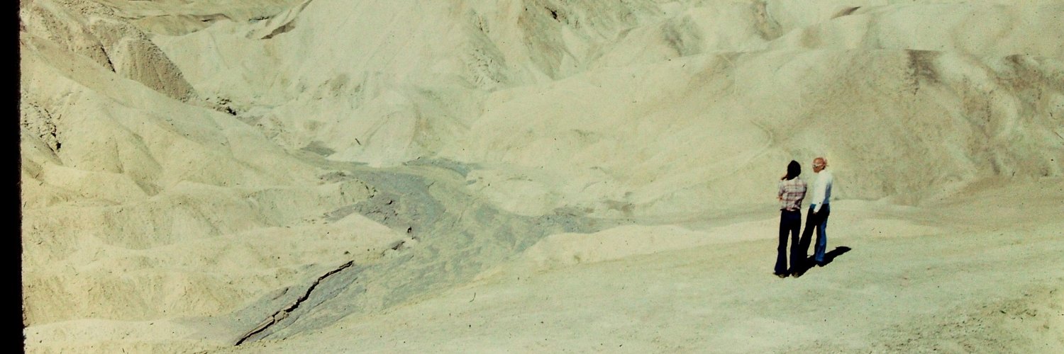 le_pless's profile banner image