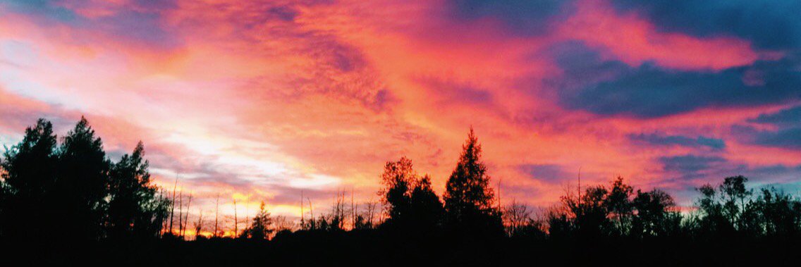 abby_lahn's profile banner image