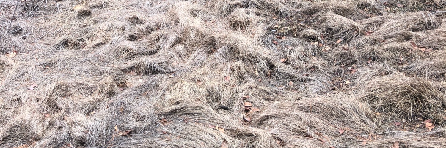 Kazumasa Teshigawara banner