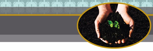 CyoDetroit Profile Banner