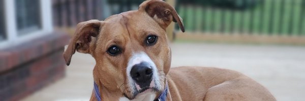 DevonStaples704 Profile Banner