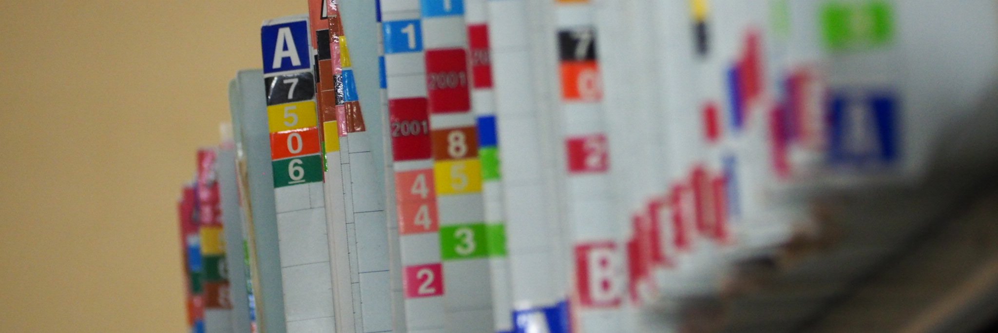 Nina Earl (she/her) banner