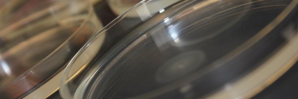 BlastMeetings Profile Banner