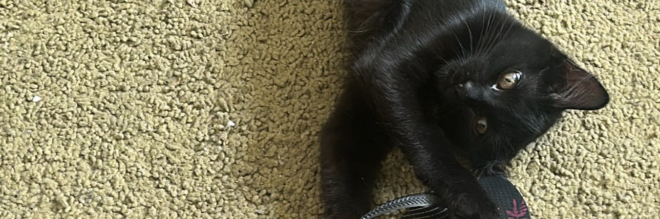 kechevicz's profile banner image