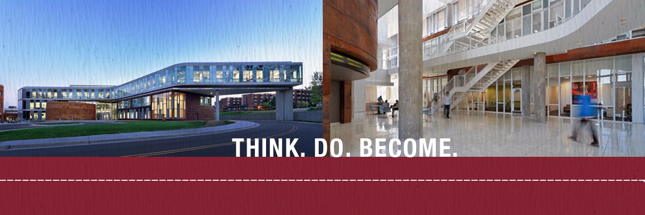 UMD Labovitz School banner