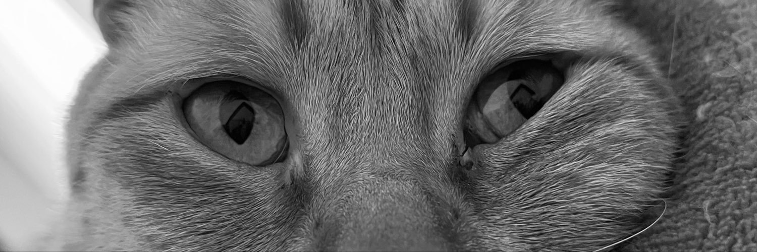 aguslazzaro's profile banner image