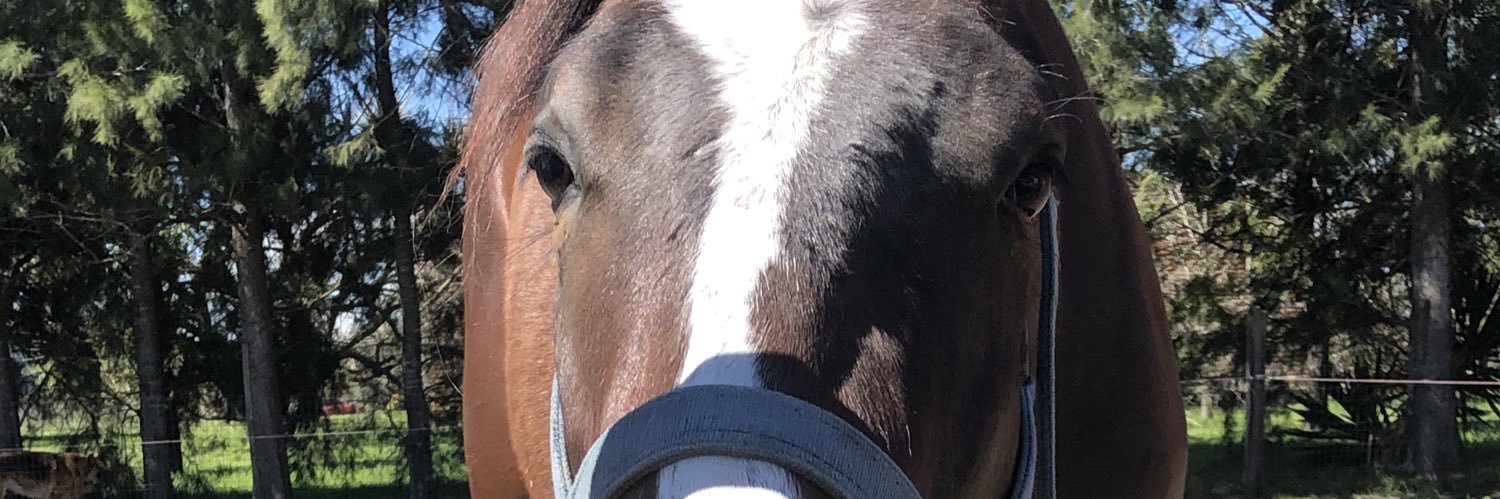 vdiazrodons's profile banner image
