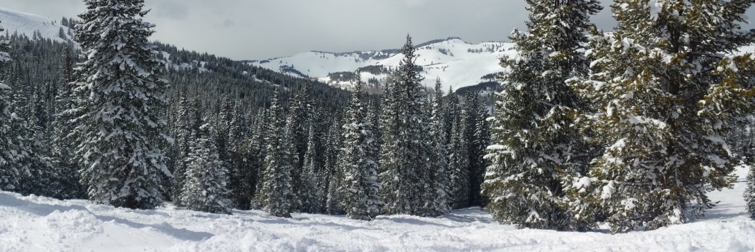 def dz(steve): banner