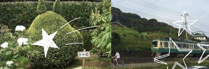 𝑅𝑜𝑐𝑖𝑜⁷ ⊙⊝⊜🪭 banner