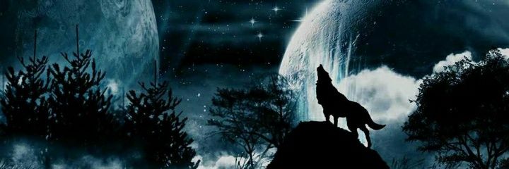 LanMartin11's profile banner image