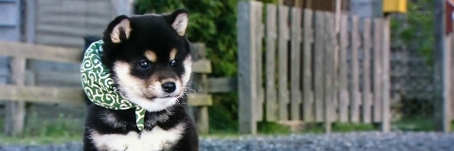 _sayaco_'s profile banner image