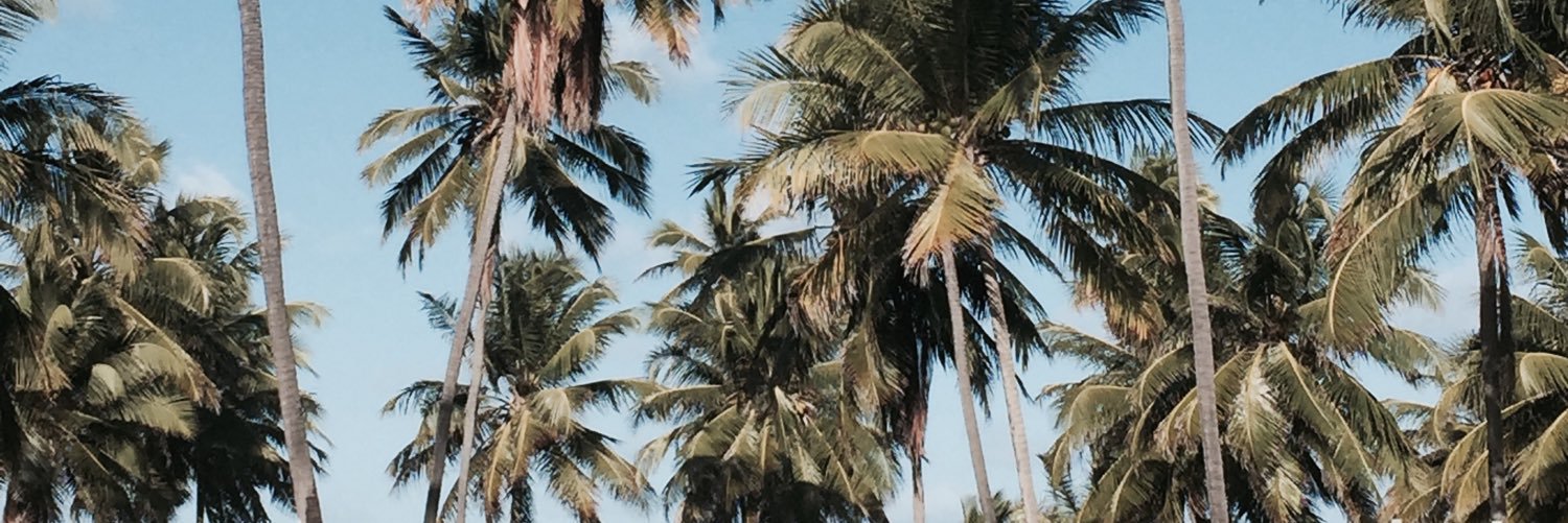 _guivaldez's profile banner image