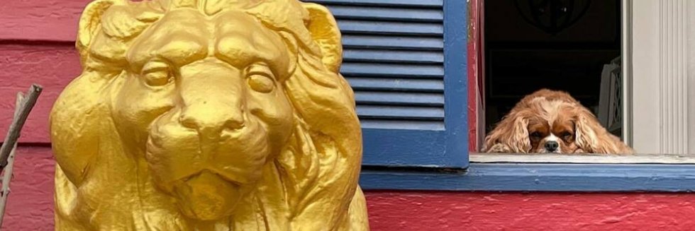 Jason Weisberger banner