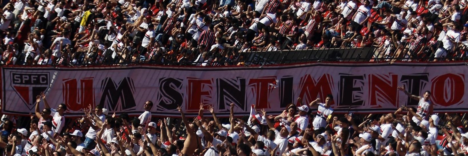 de matos 🇾🇪 (20/47) banner