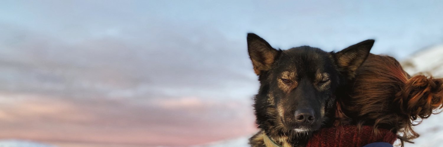 gotstoke's profile banner image