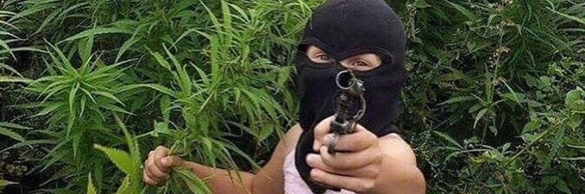 leesliiee__'s profile banner image
