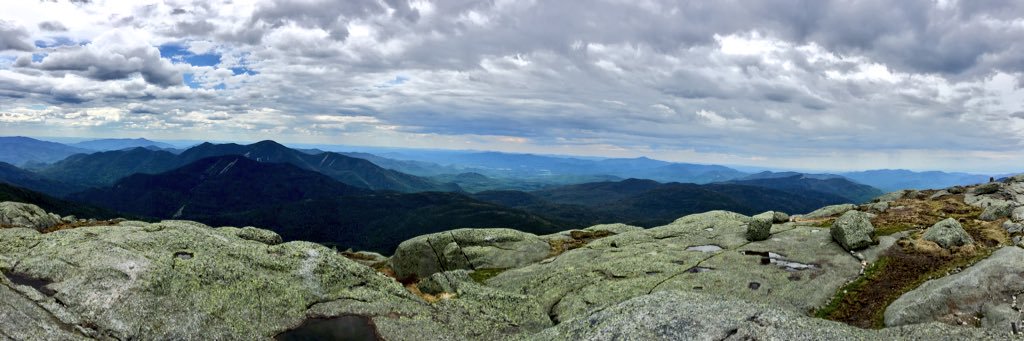 Joe Niedziela banner