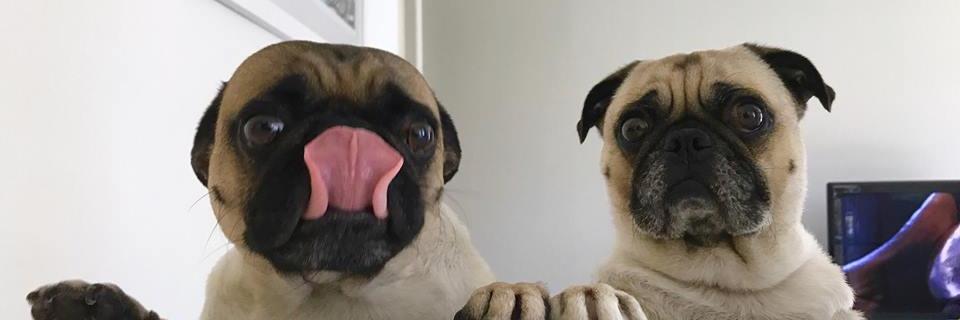 The Big Guy get 10% banner