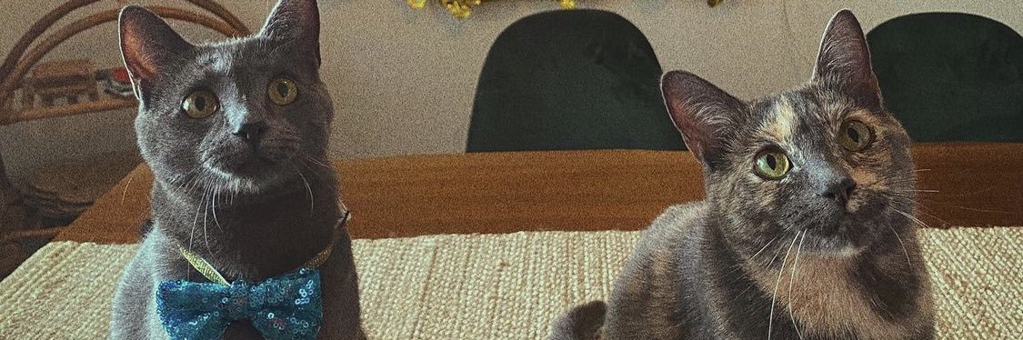 PJtheWizard's profile banner image
