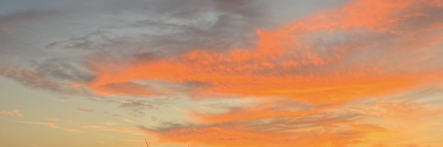Macy Emgarten banner