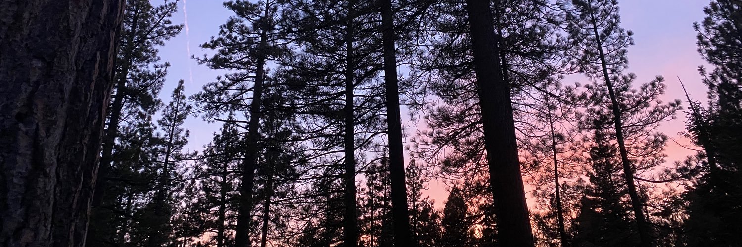 BrooklynMorris0's profile banner image
