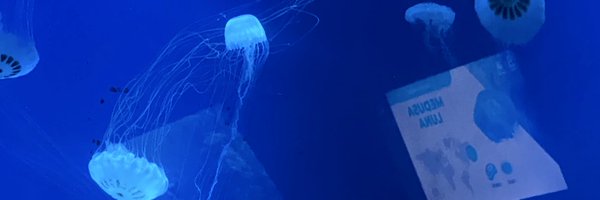 asajaley Profile Banner