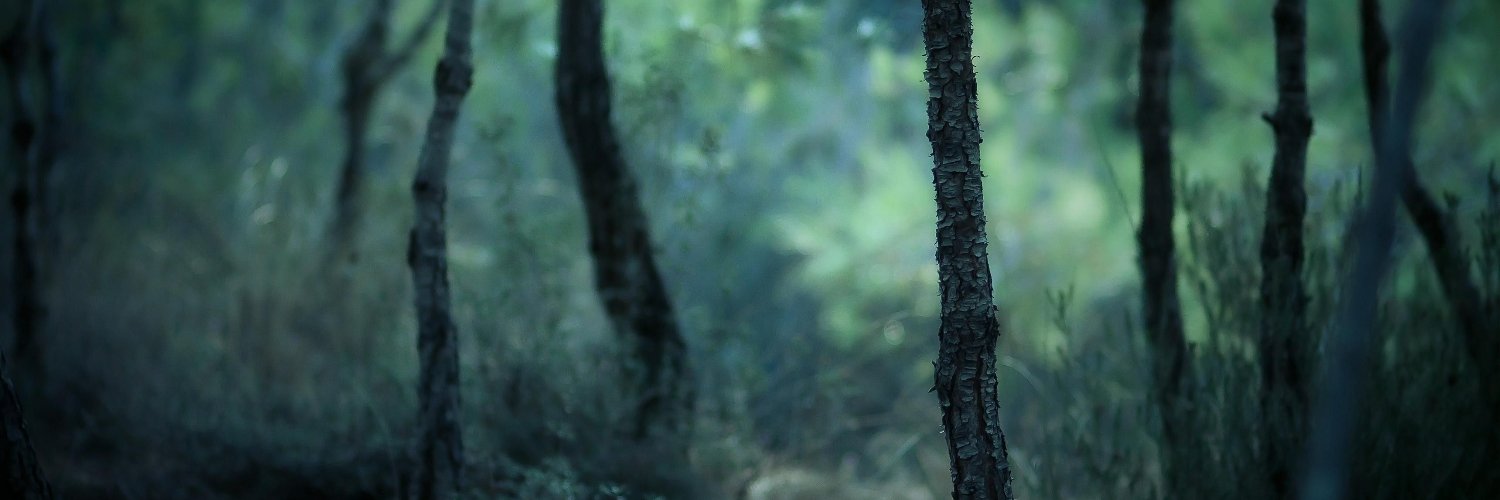 Decentrauss's profile banner image