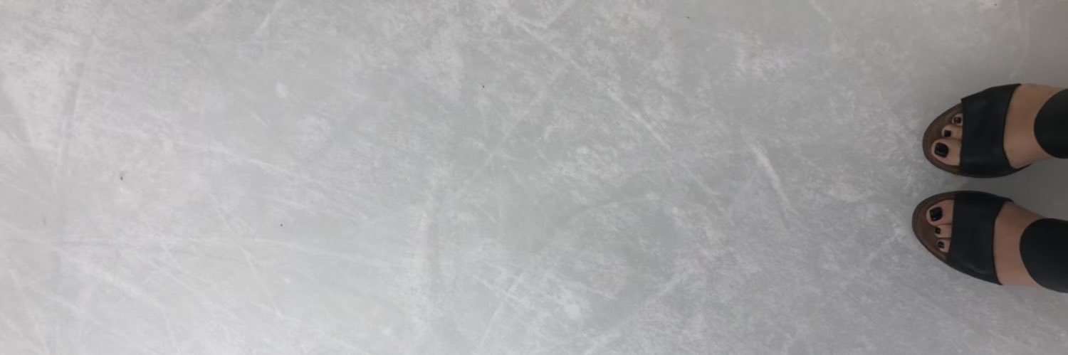 leah hendrickson banner