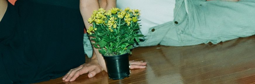 LITTLE FLOWERS banner
