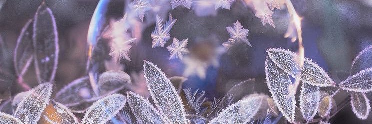 Heechul_______7's profile banner image