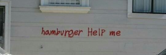 elly banner