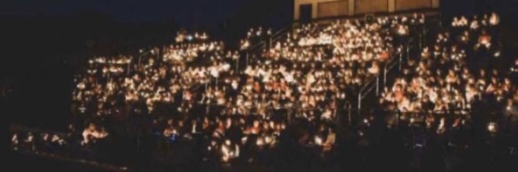 Chaz Davis🚀 banner