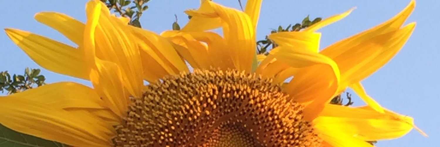 lexa1933's profile banner image